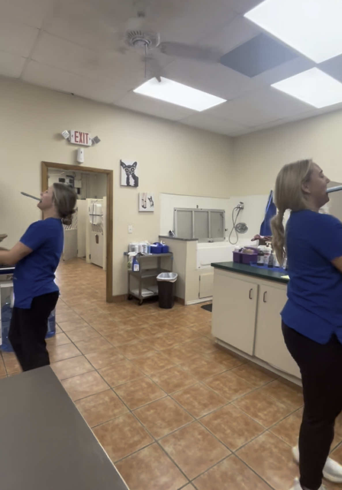 I think we got more dizzy than the dogs #vettechlife #fyp #trending #lethergopassenger #fypviral #vettech #vetmed #animal #clinic #veterinarymedicine #veterinarian #dogs #friends #rats #fypシ 