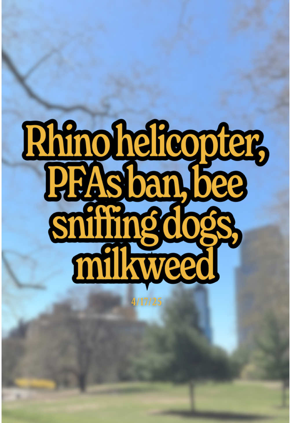 Black rhinos are riding to safety upside down on helicopters… The EU is banning PFAs in kid’s toys… Dogs are sniffing out endangered bumble bees… Planting milkweed to help monarch butterflies… How are you making the planet better today?