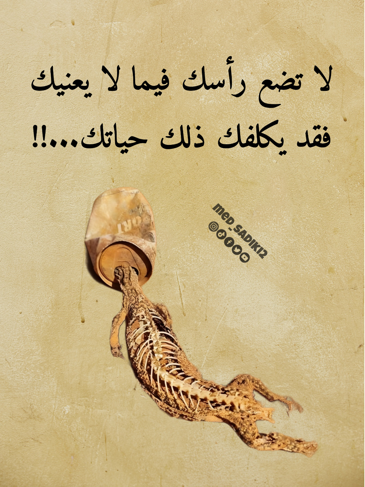 لا تضع رأسك فيما لا يعنيك فقد يكلفك ذلك حياتك...⁉️ #med_sadiki2 #med_sadiki 