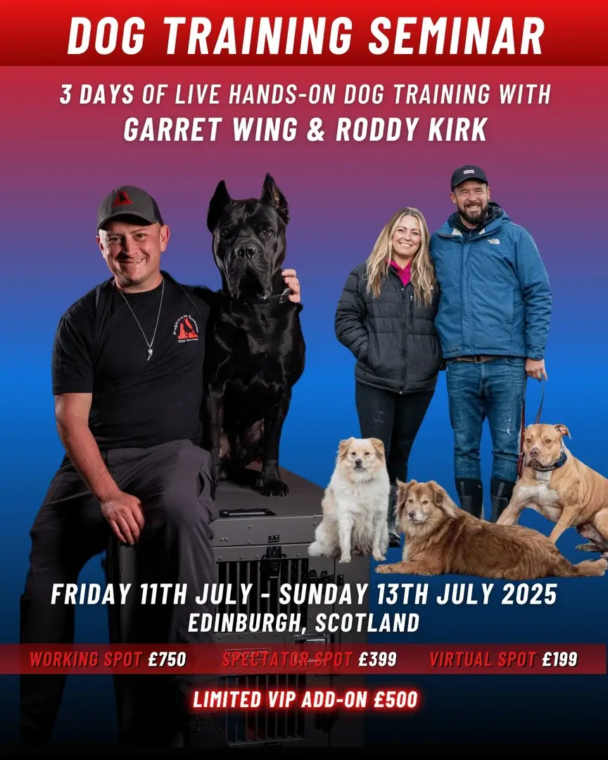 Alright folks—we’re headed to Scotland! Join me and Roddy Kirk, Be Pack Leader (Canine Rehabilitation) and Founder & President of The Association of Balanced Dog Trainers, for 3 days of hands-on dog training this July in Edinburgh. You’ll get: 1. Balanced Dog Training That Works – Master prong collars, e-collars, slip leads, and clickers the right way 2. Marker Training Mastery – Dial in timing, reward delivery, and clarity with proven methods 3. Fix Bad Behavior—Without Killing Drive – Correct issues while keeping your dog’s confidence and power 4. AND MORE... 📍 WHEN: July 11–13, 2025 📍 WHERE: Edinburgh, Scotland 🎟️ TICKETS: – Working Spot: £750 – Spectator Spot: £399 – Virtual Spot: £199 – VIP Add-On: £500 – Dinner, Q&A, swag bag (can be added to any ticket) This isn’t theory. This is real-world dog training with two of the best in the game. Spots are limited, and they will sell out! Register now at LINK IN PROFILE! Or Contact Us Here: – UK / Europe: DM @be_pack_leader on Instagram – USA / International: Email us at info@diyk9.com – Message Roddy directly on WhatsApp: +44 07960 823722 #DogTraining #puppytraining #puppyfun #dogoftheday #puppytrainer #dogobediencetraining #balanceddogtraining #dogsaregreat #recall #puppytrain #k9trainer #dogobedience #dogbehavior #dogtrainingtips