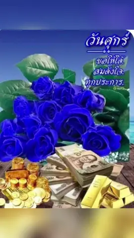 สวัสดีค่ะเพื่อนๆ💙🩵💙🩵💙🩵💙