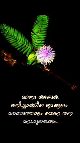 #foryoupage #foryou #fpyシ 