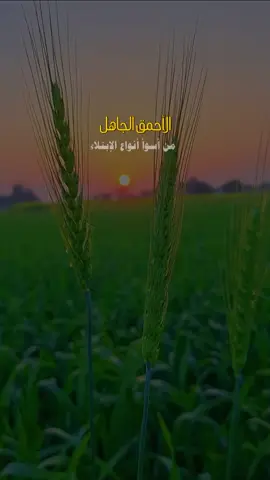 من أسوأ أنواع الإبتلاء  أن تُبتلى بسيء الفهم، محدود الإدراك  يرىٰ نفسهُ أعرف وأفهم خلق الله وهوَ أجهلهم