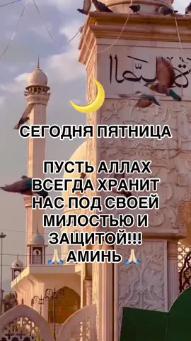 #джумамубарак #пятница #ислам #аллахуакбар #азан #аминь🙏🕊️🙏🕊️🙏 #2025 #allahuakbar #allahummashollialasayyidinamuhammad 