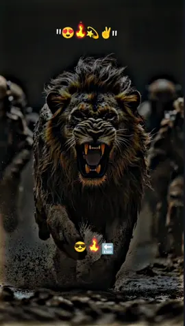 کچھ کتے ہیں جو مجھے کاٹ تو نہی  #writer #Trending #🖇️✨🥀💔 #Foryou #foryoupage #fyp #growmyaccount #viralmyvideoplztiktok #a #1M #fypviral #viralmyvideoplztiktok #500k 