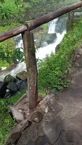 Cascadas de Peguche #ibarra #vacaciones #ecuador #paisaje #cascadadepeguche #naturaleza #familia #fyp #parati #viral_video 