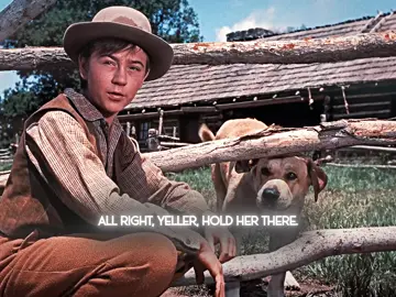 #tiktok #foryou #movie #dog a faithful companion of mankind