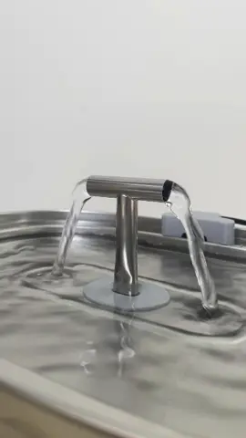 💧 Mais que estilo — é saúde! A fonte de aço inoxidável é ideal pro seu pet: 🐾 Ajuda a manter a água sempre fresca 🐾 Evita proliferação de bactérias 🐾 Estimula o pet a beber mais água Além de linda, ela é super resistente e fácil de limpar. Seu pet merece esse cuidado! #FontePet #SaúdePet #PetHidratado #AçoInoxidável #NewPet #DicaDePet