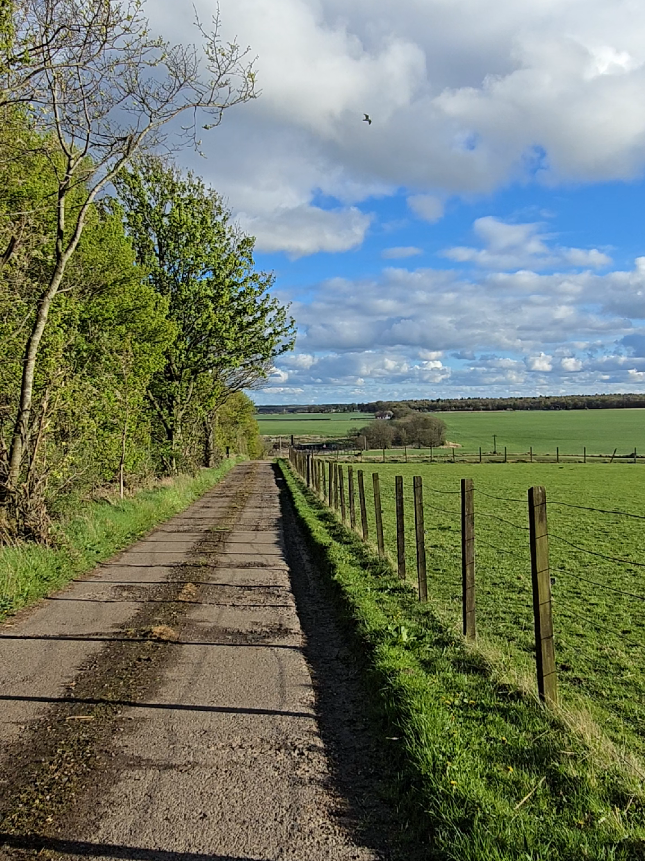 Not it actually bring nice and sunny for once 🥺🥺 #Scotland #spring #fyp 