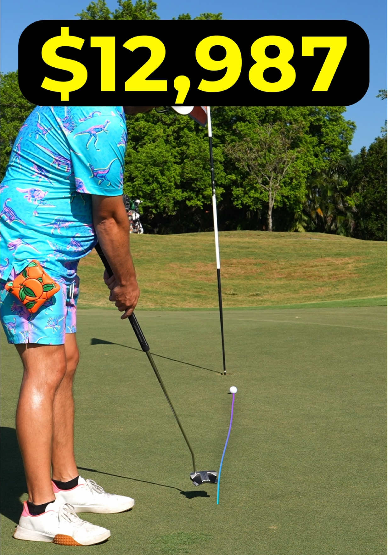 I’ve spent $12,987 trying to go from a 20 handicap, to a single digit handicap. And you guys think my golf game hasn’t gotten any better. Well I beg to differ. All I had to do was take my driver out of the bag and my handicap dropped significantly. Do you still game your driver, or have you retired it? #golf #golfing #golftips #golfhandicap 