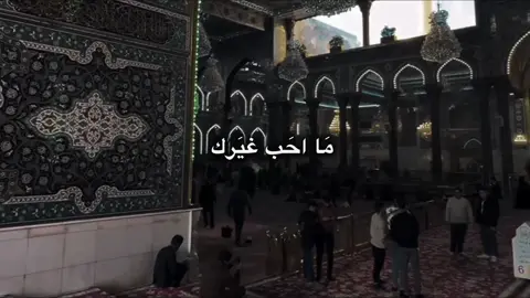 #يارب #ياعلي #ياحسين #ياعباس #يالله #تصميمي #قصائد_حسينية #اللهم_صل_على_محمد_وآل_محمد #اللهم_لك_الحمد_ولك_الشكر #اهل_البيت_عليه_السلام 