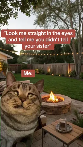 #Meme #MemeCut #CapCut #fyp #foryou #momtok #sisters 
