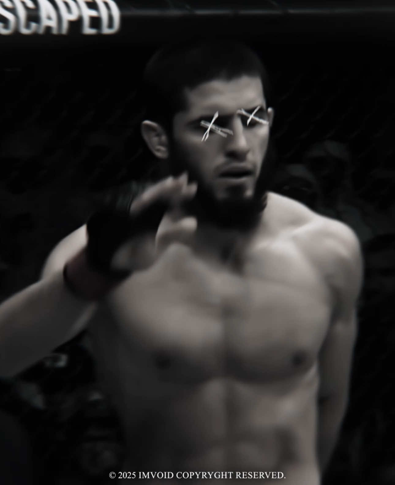 the greatest of lightweight 🇷🇺 | ib: @edvard |  #UFC #islammakhachev #khabib #lightweight #goat #champion #ufcedit #edit #fyp #foryou 