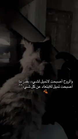 والروح أصبحت لاتميل لشيء، بقدر ما أصبحت تميل للابتعاد عن كل شيء #virall #pyfツ #الشعب_الصيني_ماله_حل😂😂 