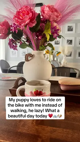 Beautiful spring day today 🌸🌷🪻🌻🌻🚲🐶 #dogsoftiktok #dog #yorkie #yorkiesoftiktok #yorkshire #viral #fyp #fypシ #trending 