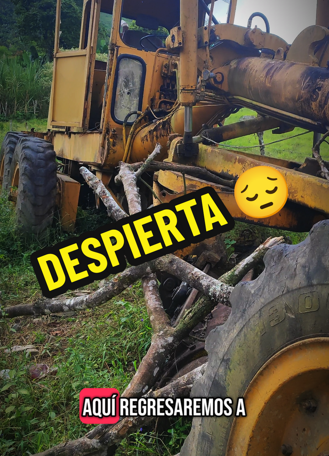 VOLVEREMOS A LA CIVILIZACIÓN 😔#despiertaalex #civilizacion 