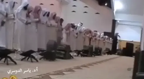 المقطع ده من أجمل ما سمعت في حياتي… كل مرة أسمعه كأنها أول مرة. خُشوع، صوت، إحساس… لازم  تسمعوه.  #قرآن #تلاوة_خاشعة #ياسر_الدوسري #رمضان #خشوع #قرآن_كريم #تلاوة_قرآنية #اسلاميات #quran #recitation #ramadanhighlights #ليلة_رمضانية #قيام_الليل #قرآن #تلاوة #خشوع #ياسر_الدوسري #آل_عمران #راحة_نفسية #رمضان #قيام #ياسر_الدوسري#تلاوة_خاشعة#معجزات 
