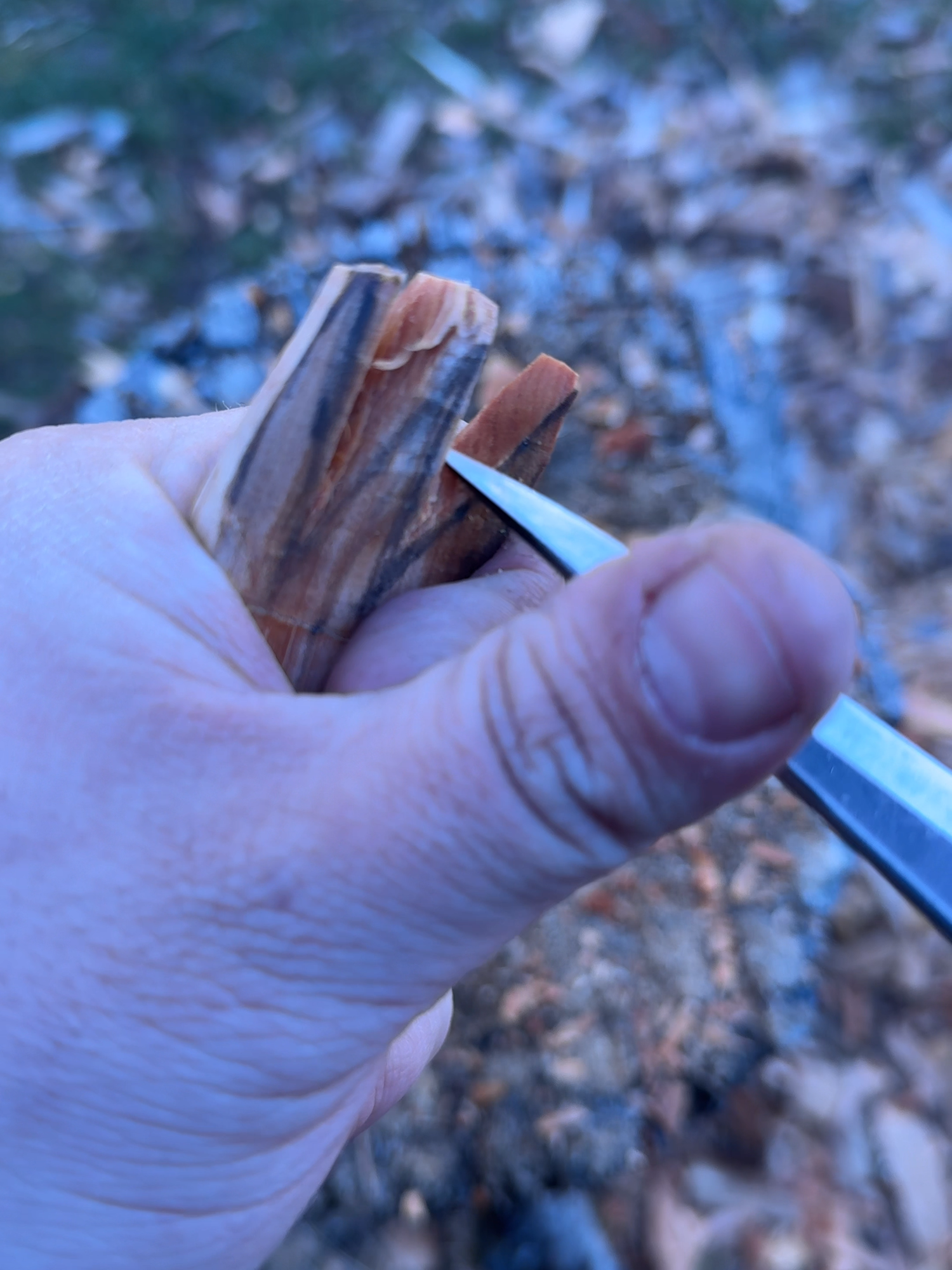 This is what happens when I try to create anything other than a spoon. #woodcarving #bushcraft