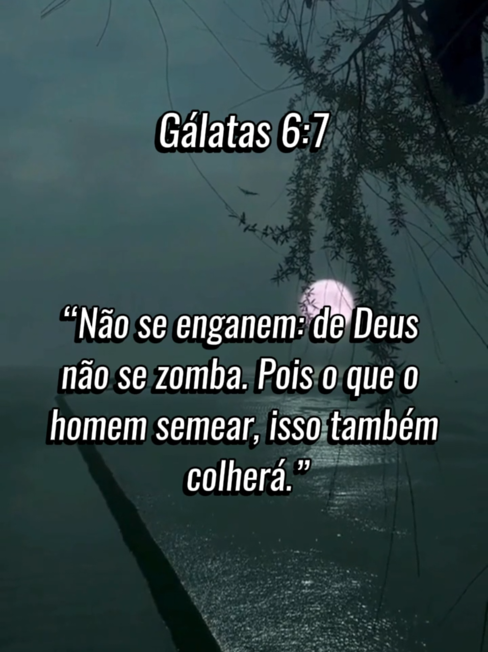 #bibliasagrada #ensinamentosdefé #ensinamentosbiblicos #oracaododia 