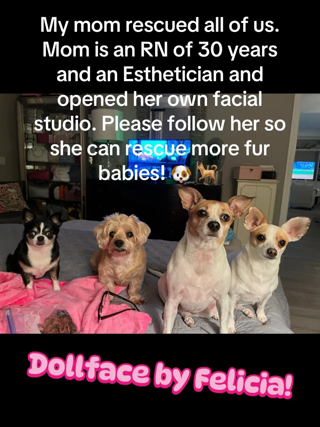 #dollfacebyfelicia #usa🇺🇸 #gorgeous #positivity #lovemyclients #dermalogica #RN #mexican #venezuelan #latin #latino #argentina🇦🇷 #argentina🇦🇷 #argentina🇦🇷 #japan #shoheiohtani #weddingmakeupartist #beautysalon #poland🇵🇱 #england🇬🇧 #China #olderwomeninbusiness #doglover #animalrescue #chihuahua #underdogrescue #animallover #furbabymom #furbabys 
