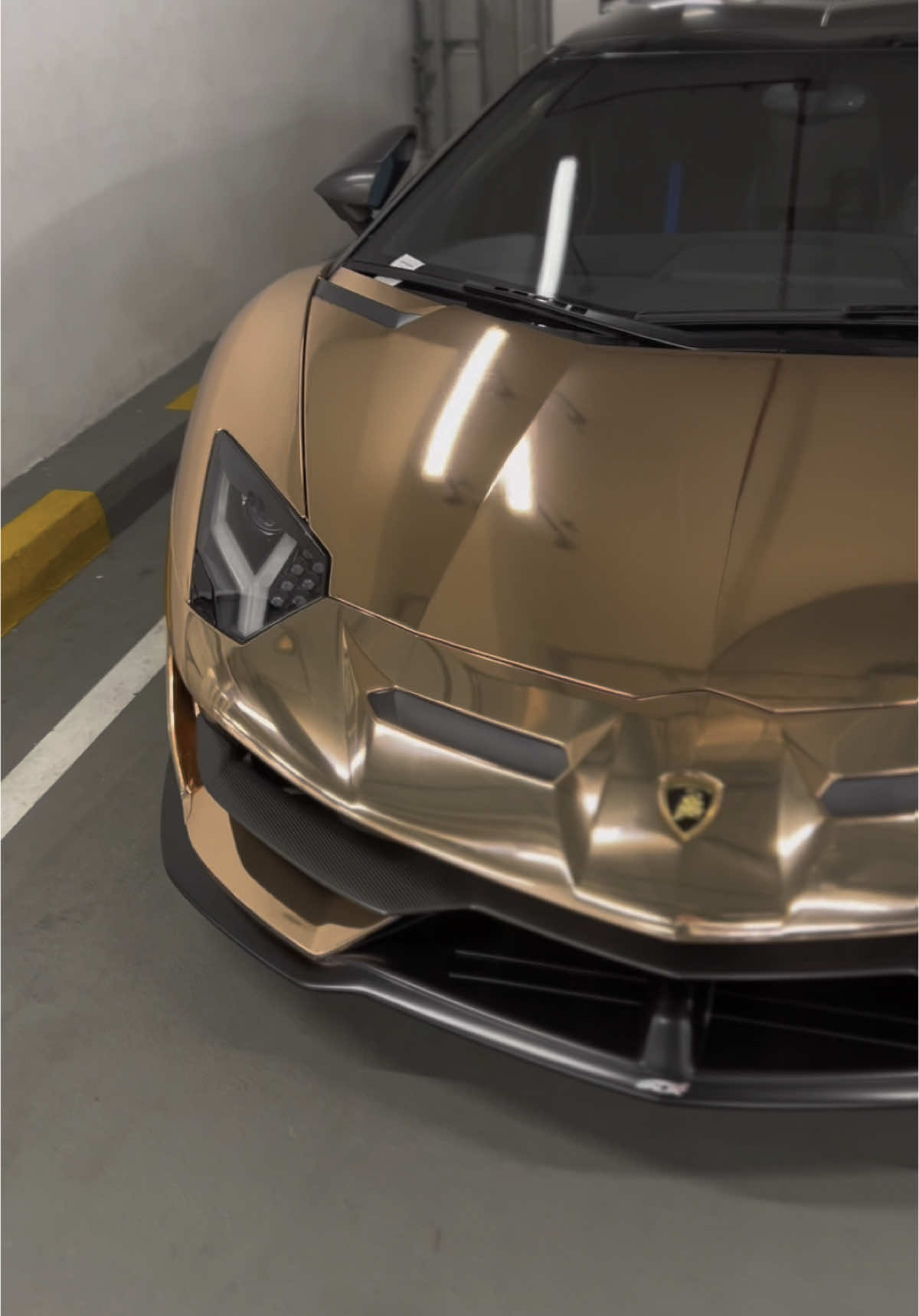 🐂 ✨ 💅   #skjall_carspotting #dubai #lamborghini #supercar #luxurycars 