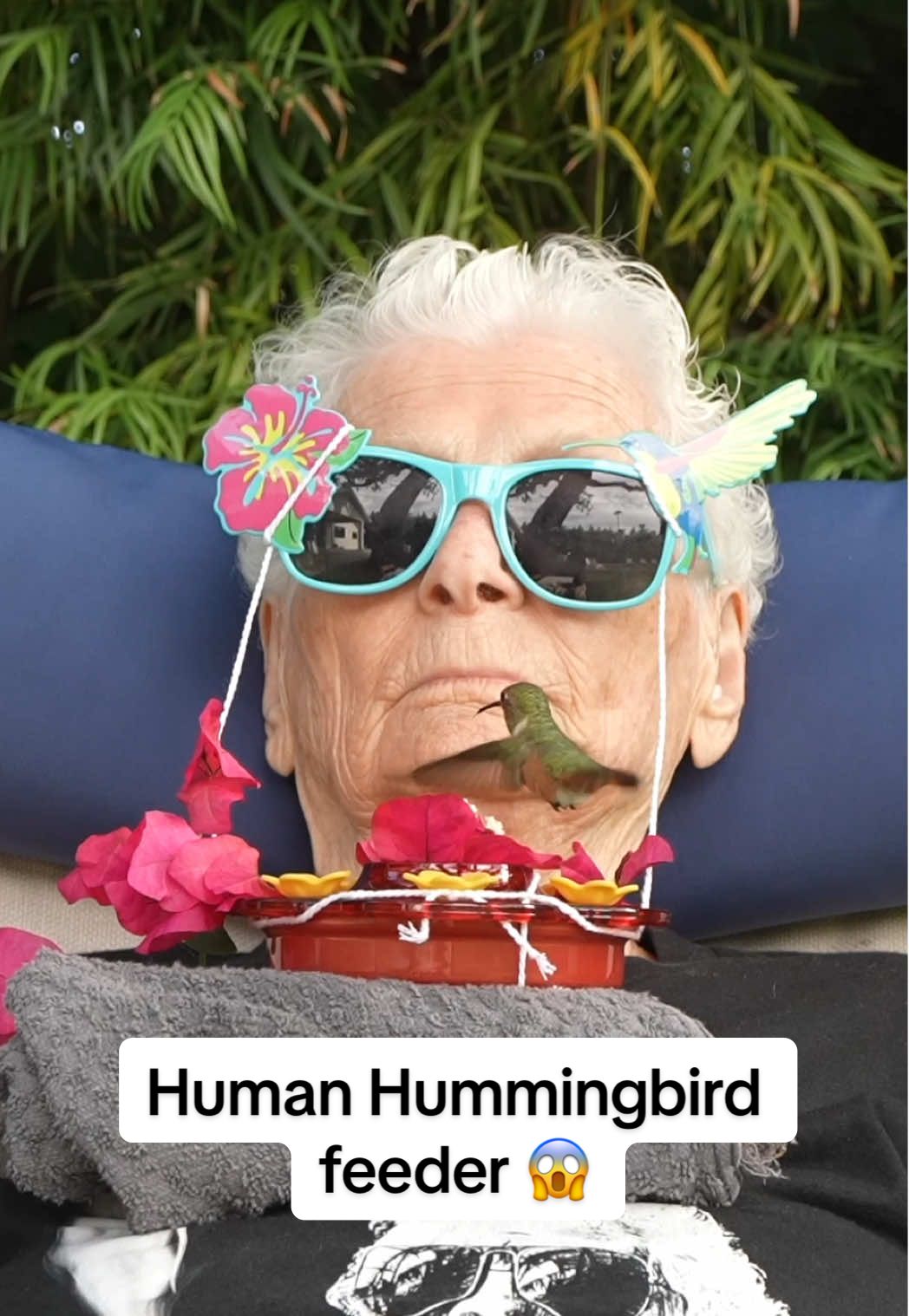National Geographic Granny. I can’t believe she thought they were fake 😂🦜 #hummingbird 
