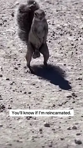There will be signs.. #fyp #foryoupage #viral #diddy #funny #clips #reincarnation #meme 