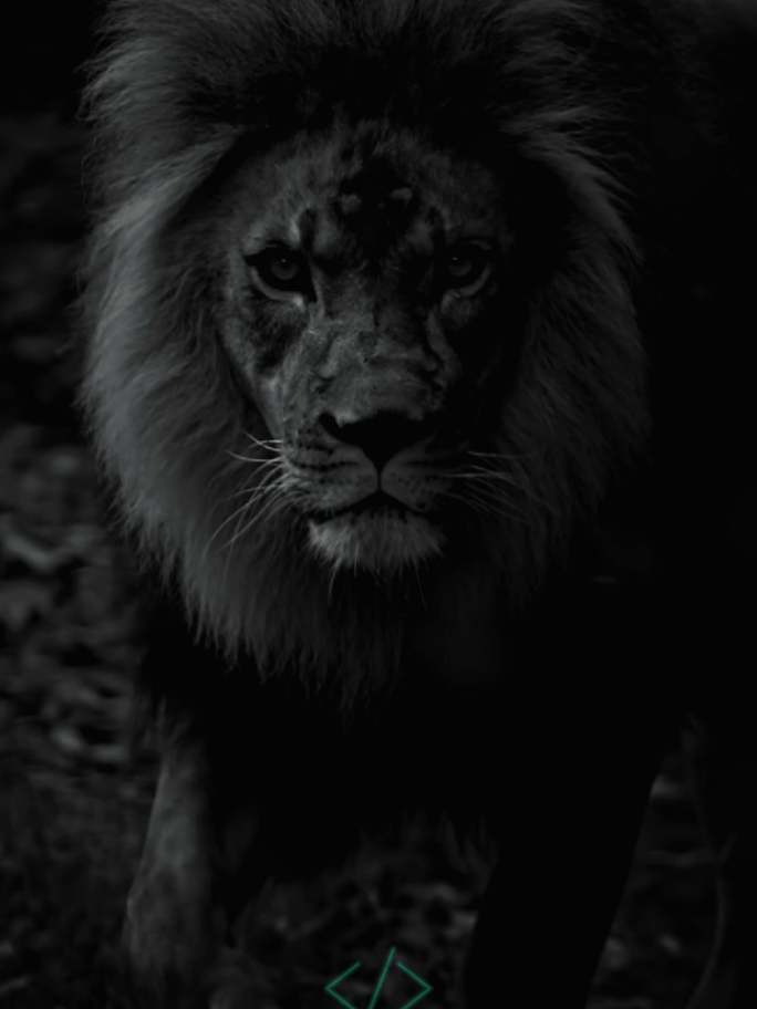 a man who refuses to quit #warriors #motivation #life #pain #man #broken #emotional 