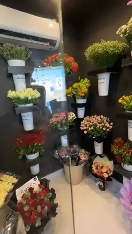 الورد هوه السعاده بحد ذاتها التأمل في الورد هوه المزاج الراقي دايماََ الورد هوه السعاده هوه الأمل تفاجأ الكثير من ردات فعل باض الناس عدما يهديه الورد لن الورد له حياة معينه دايمن نسعا لنكون المبدعين في الورد وفي تنسيقاتنا لسنا الوحيدين لكننا الأفضل منسق ورد ننسق هداياكم بكل حب#إكسبلوررإكسبلورر إكسبلورر#إكسبلورر إكسبلورر#إكسبلورر إكسبلورر#إكسبلورر إكسبلورر#إكسبلورر إكسبلورر#إكسبلورر إكسبلورر#إكسبلورر إكسبلورر#إكسبلورر إكسبلورر#إكسبلورر إكسبلورر#إكسبلورر 