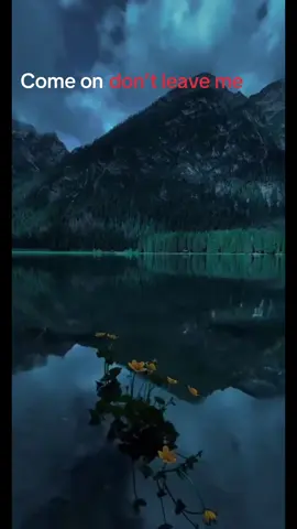 The background is so pretty. Just like Nico. [#boyfriend #thankyoutiktok #pleaseblowupthisvideo #thankyou #sa #vent #km #leavenebe #babyineedyou #whereismymind #background #beautifulview]