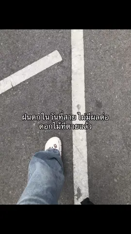 🫥#เธรด #fyppppppppppppppppppppppp #เธรดใครแอดยืม #อย่าปิดการมองเห็น #ไม่ดังก็จะลง #fypシ゚ #fypシ゚ 