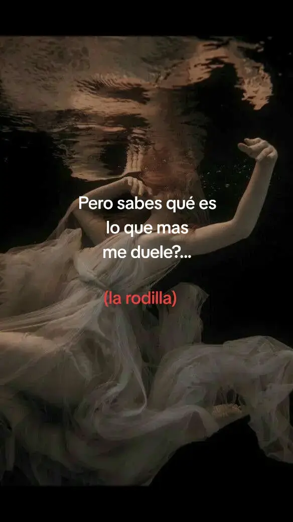 #folklore #dancer #danza #memories #humor #fyp #tik_tok 