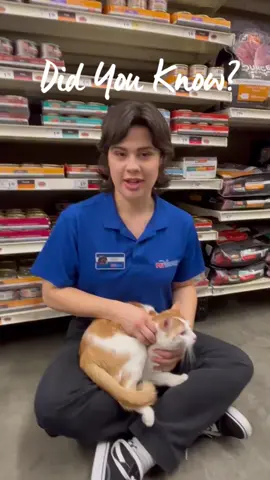 Snug spots=the best naps 🐈 📦#petsmart #anythingforpets #DidYouKnow