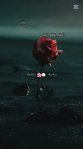 #ياربي يارحماني ياخلق الإنساني 