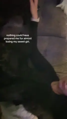 traumatized #fyp #foryou #dogsoftiktok #dog #dogmom #poodle