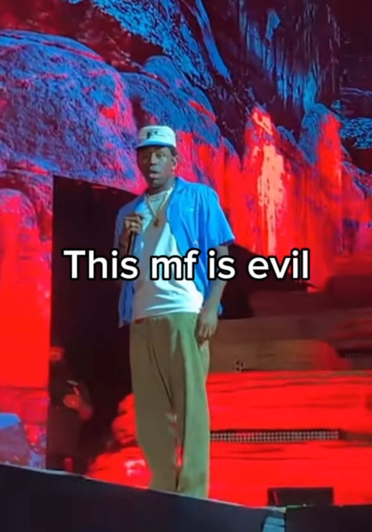 Tyler Is Evil Af #tylerthecreator #ttc #troncat #lalala #goblin #concert