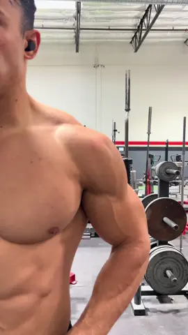 Shark abs