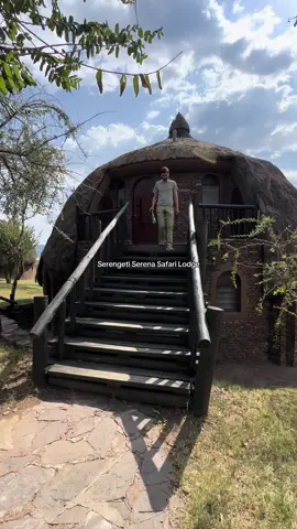 Safari lodges >>> * What better way to stay close to the action in the Serengeti?! * @Serena Hotels - Africa  * #africa #safari #africansafari #safarilodge #serenahotels #traveltok #tanzania 