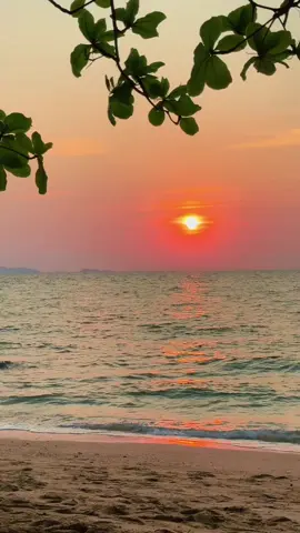 #photobyme #ลมหวล #ศรีไศลสุชาตวุฒิ #สตอรี่ความรู้สึก #fypシ゚ #ธรรมชาติบําบัด #ฟีดดดシ #ธรรมชาติฮีลใจ #เพลงเพราะ #เพลงเก่าที่คิดถึง #ท้องฟ้า #ธรรมชาติ #ทะเล 