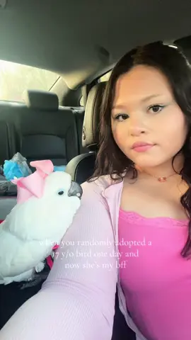 best decision ever  #fyp #foryoupage #cockatoo #birdtok #bows #justgirlythings #cuteanimals #funny #birdsoftiktok #birdtok #parrots #lanadelrey #coquette 