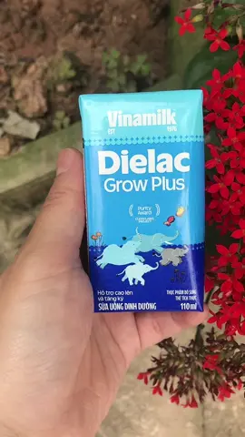Sữa Dielac Growplus Vinamilk#sua#vinamilk#dielacgrowplus #thinhhanh #xuhướng #xuhuongtiktok #viralvideo #thinhhanhtiktok #viral 