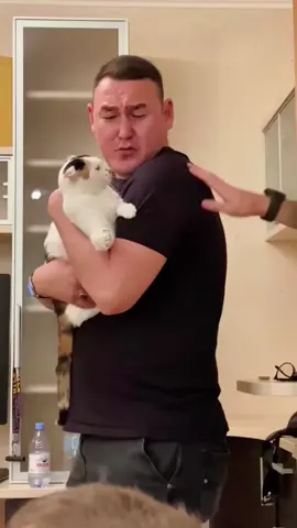 Protect 🥰#fyp #usa #longervideos #cats #kitten #kittens #kittensoftiktok #fypage #fypシ゚viral #fypdong #fypsounds 