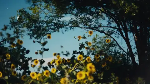 #chill 