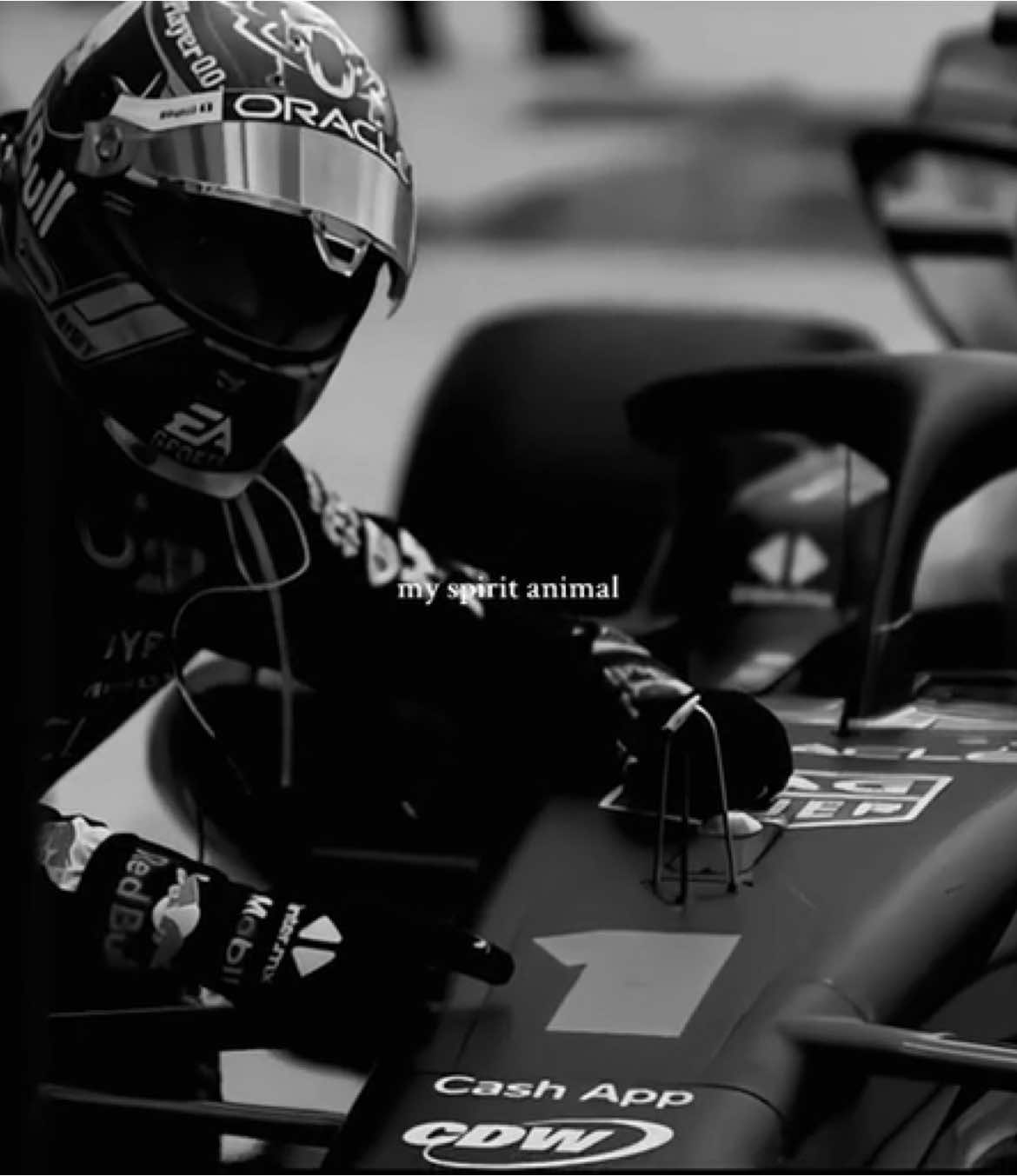 1 | 33. #f1 #f1tiktok #f1edit #formula1 #aesthetic #maxverstappen #verstappen #mv1 #edit #luxury #spiritanimal #fyp #redbull #rbr 