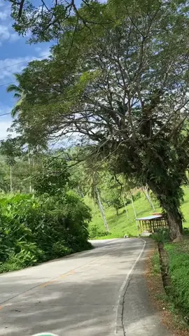 pang myday niyo sa fb!! #xyzbca #tree #peace ctto: julls!!