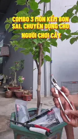 COmbo 3 món kềm làm bon sai FREESHIP #tienichcuocsong #nhapr26 #xuhuongtiktok #dungcubonsai 