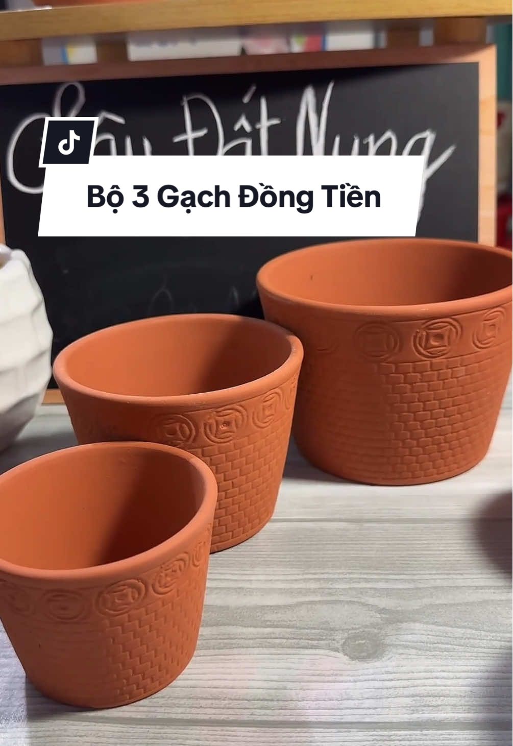 Bộ 3 Gạch Này Chất Lừ Luôn. Nhanh Kẻo Hết A/C. #fyp #xuhuong #chaudatnung #chautrongsenda #chautrongcay 