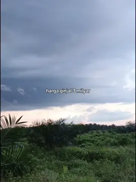 🤣🤣