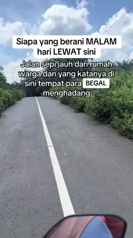 Jalan sepi LAMPUNG waykanan #lampungtiktok #viral #fyp 