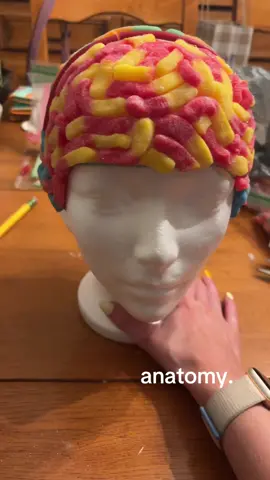 only took 3hrs #speechpathology #anatomy #thebrain #lobes #wormcandy 